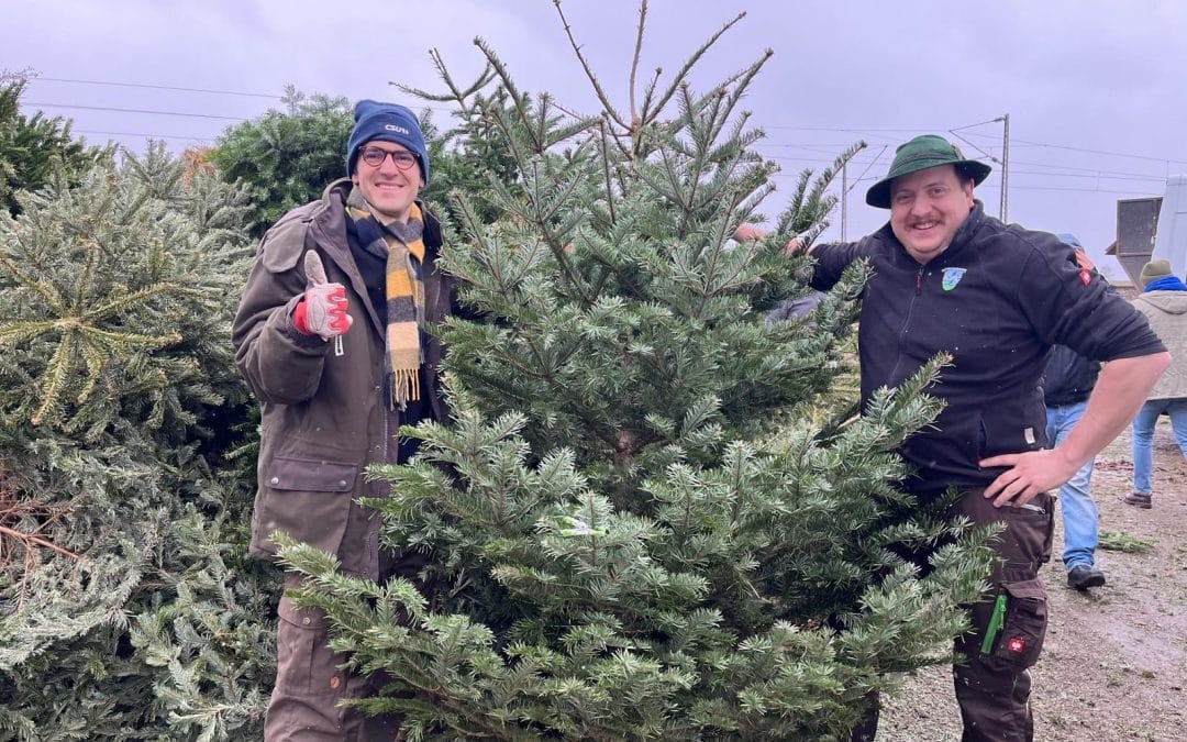 Christbaumabholaktion der JU